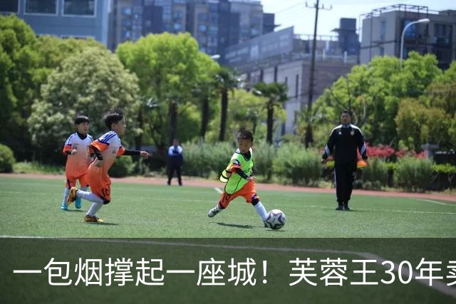 一包烟撑起一座城！芙蓉王30年卖1.2万亿，常德GDP全靠它